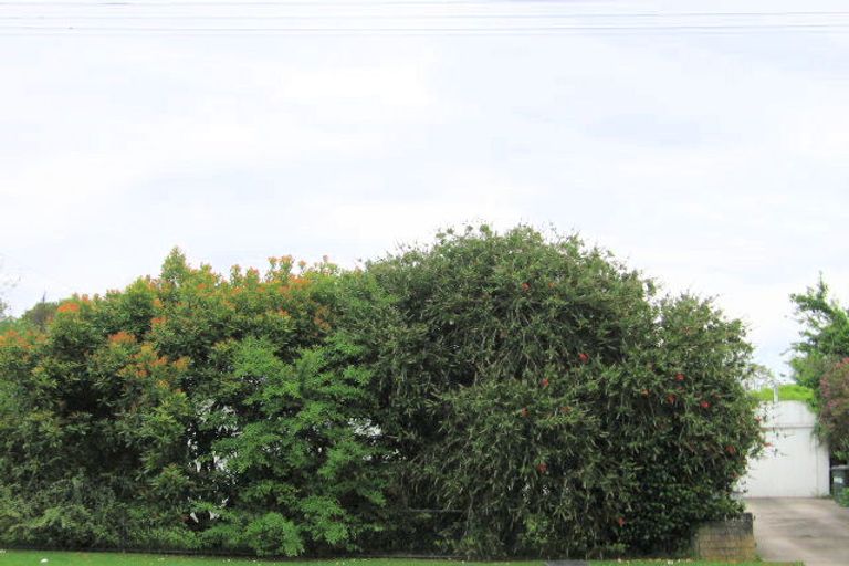 Photo of property in 60 Atkinson Street, Mangapapa, Gisborne, 4010