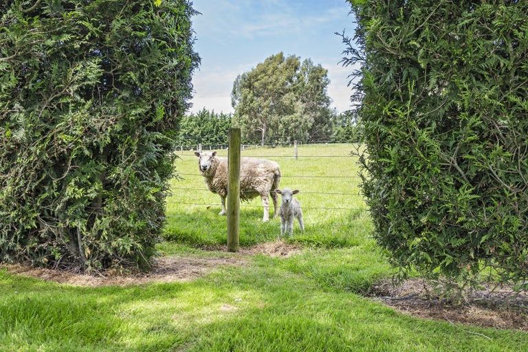 Photo of property in 777 Ellesmere Road, Lincoln, Christchurch, 7672