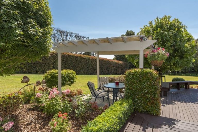 Photo of property in 46 Plummer Road, Whakamarama, Tauranga, 3179