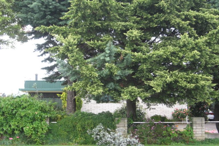 Photo of property in 105 Woodlands Road, Opotiki, 3122