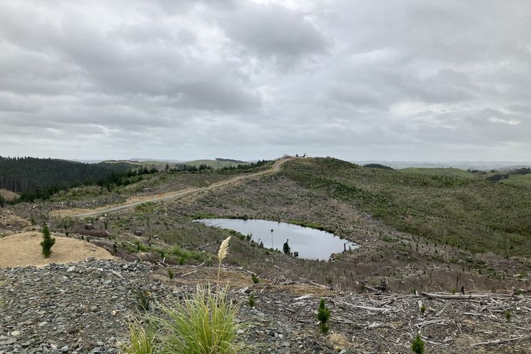 Photo of property in 670 Bickerstaffe Road, Maungaturoto, 0587