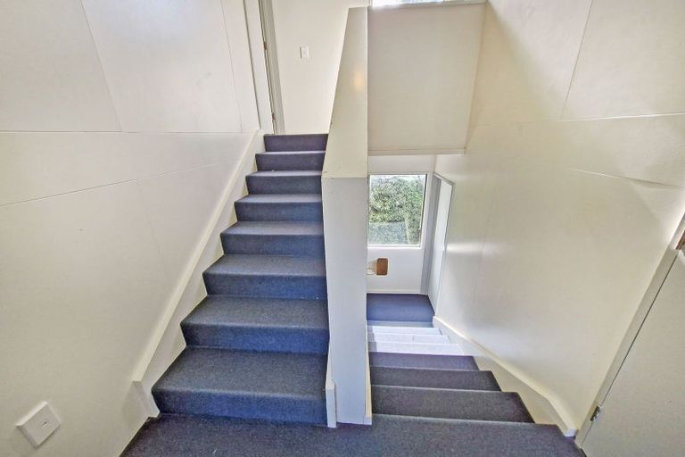 Photo of property in 63 Opoho Road, North East Valley, Dunedin, 9010