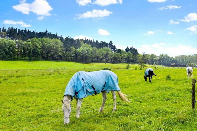 Photo of property in 388 Kahikatea Flat Road, Waitoki, Kaukapakapa, 0871