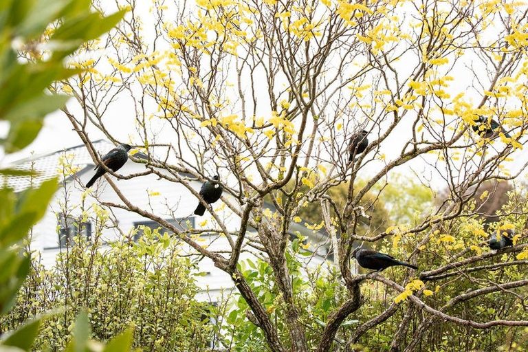 Photo of property in 46e Navigation Drive, Whitby, Porirua, 5024