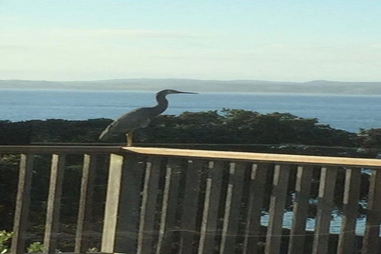 Photo of property in 58 Grand View Road, Leigh, 0985