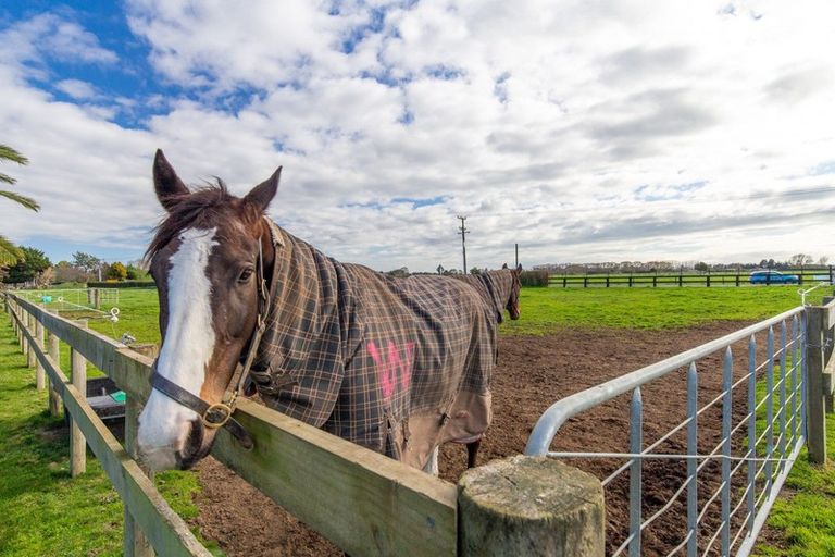 Photo of property in 670 Kaipaki Road, Ohaupo, 3881