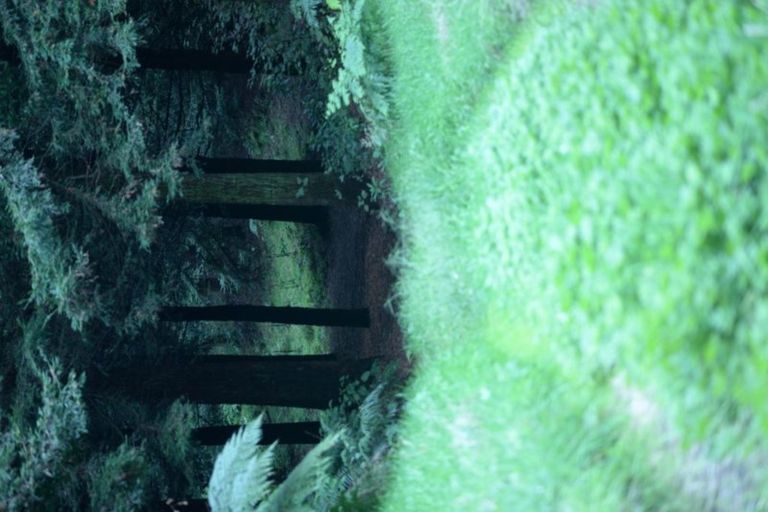 Photo of property in 5 Sarona Park Drive, Omanawa, Tauranga, 3171