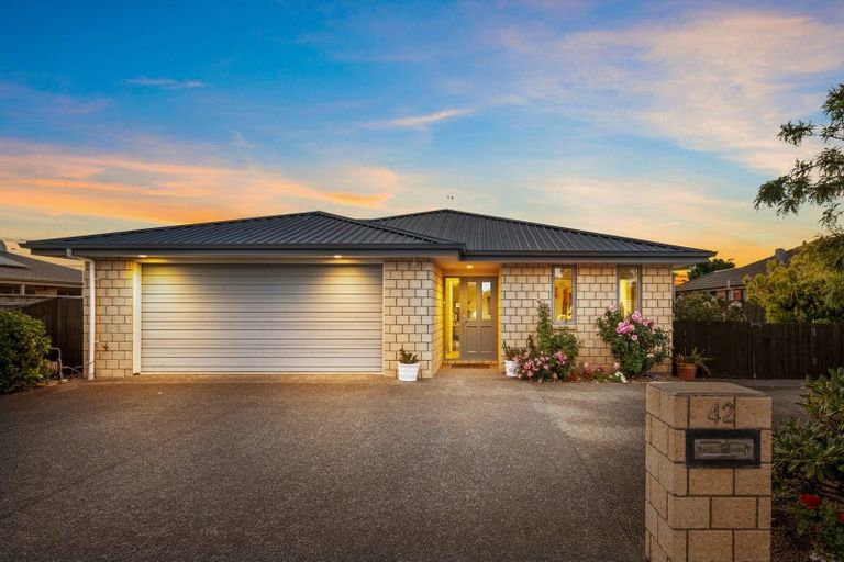 Photo of property in 42 Tremorne Avenue, Blenheim, 7201