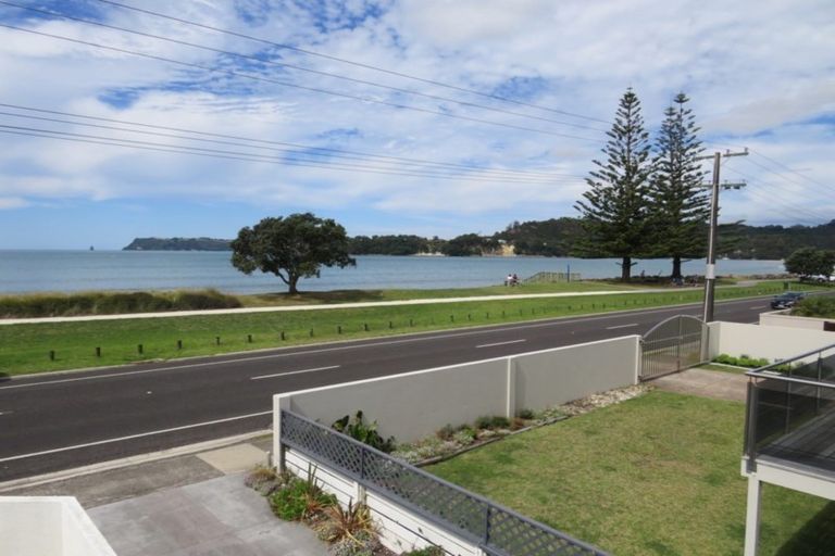 Photo of property in 36 Buffalo Beach Road, Whitianga, 3510