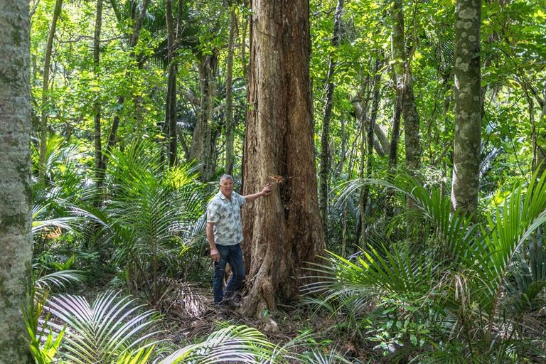 Photo of property in 10 Puriri Place, Tuateawa, Coromandel, 3583