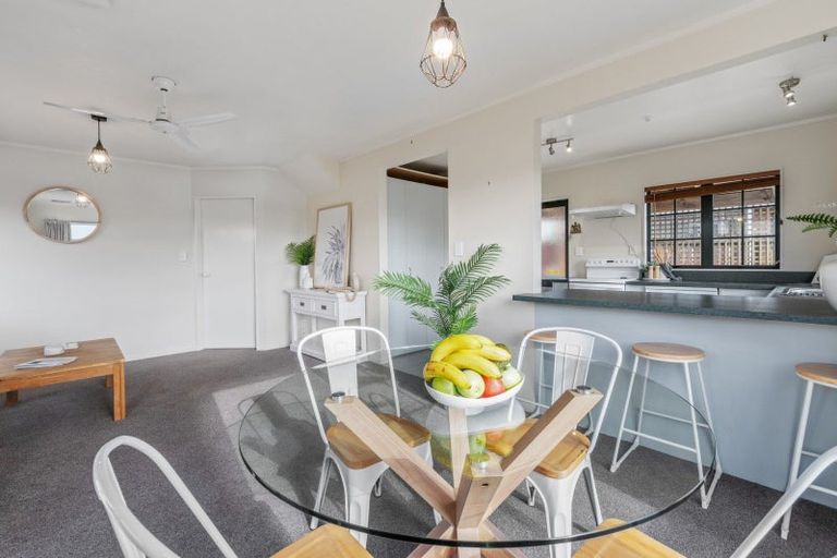 Photo of property in 19 Cook Street, Gate Pa, Tauranga, 3112