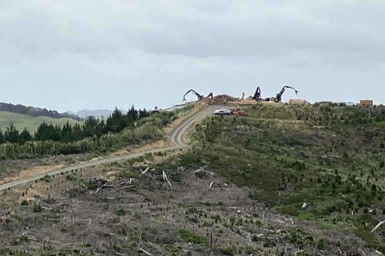 Photo of property in 670 Bickerstaffe Road, Maungaturoto, 0587