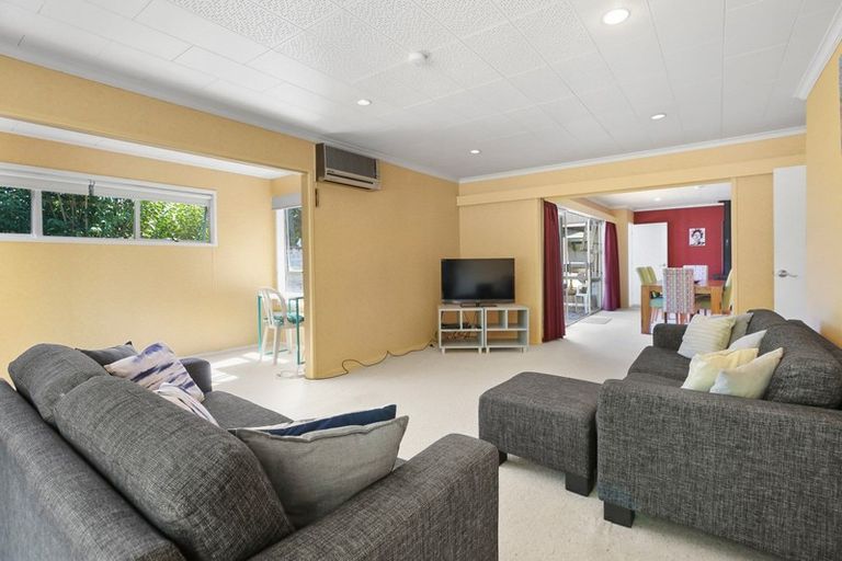 Photo of property in 29 Wymer Terrace, Chartwell, Hamilton, 3210