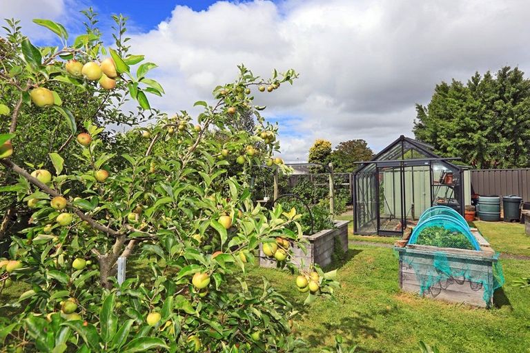 Photo of property in 606 Tomoana Road, Mahora, Hastings, 4120