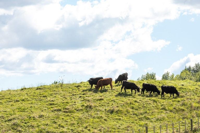 Photo of property in 65 Old Reservoir Road, Karangahake, Paeroa, 3674