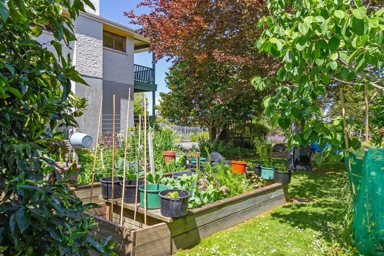 Photo of property in 64 Manuka Street, Lansdowne, Masterton, 5810