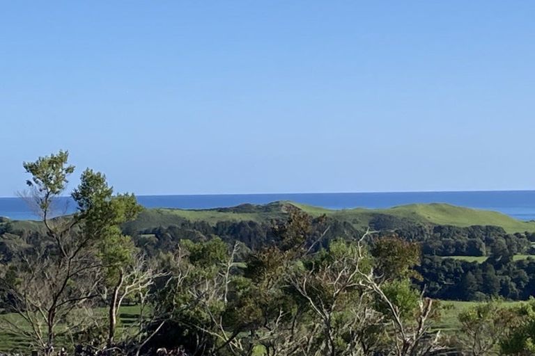 Photo of property in 41a Wharekauri Road, Mimi, Urenui, 4377