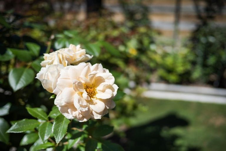 Photo of property in 153a High Street, Bulls, 4818