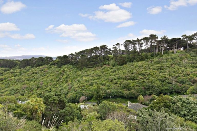 Photo of property in 11 Upoko Road, Hataitai, Wellington, 6021