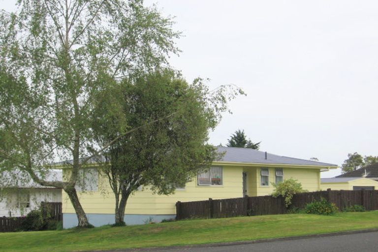 Photo of property in 16 Young Street, Morrinsville, 3300