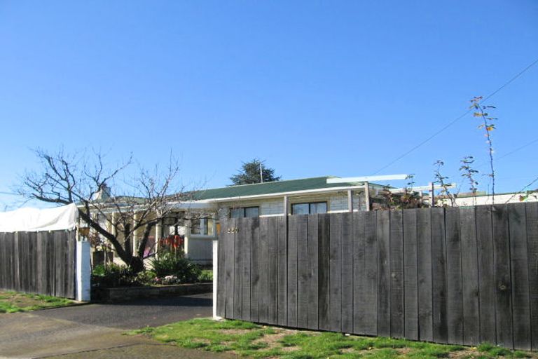 Photo of property in 220 Lumsden Place, Akina, Hastings, 4122