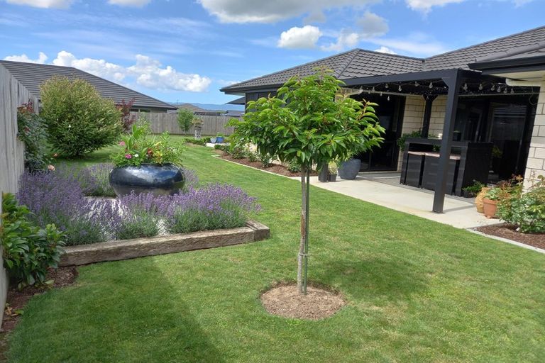 Photo of property in 31 Banks Road, Matamata, 3400