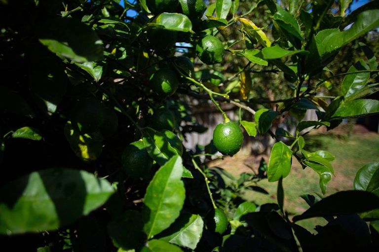 Photo of property in 280 Thomas Road, Rototuna North, Hamilton, 3210