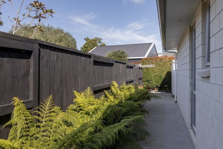 Photo of property in 8g Gane Place, Omokoroa, 3114