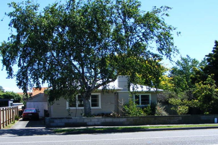 Photo of property in 246 Botanical Road, Takaro, Palmerston North, 4412