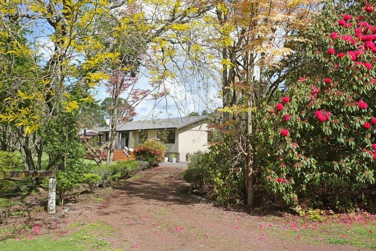 Photo of property in 154 Waipipi Wharf Road, Pollok, Waiuku, 2683