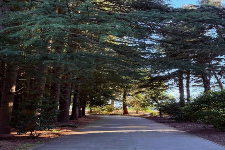 Photo of property in 206 Beach Road East, Elgin, Ashburton, 7777