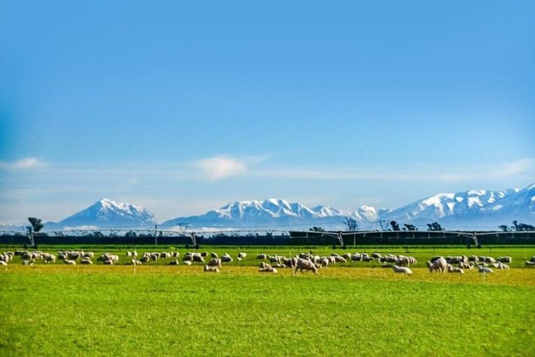 Photo of property in 395 Courtenay Road, Charing Cross, Christchurch, 7671