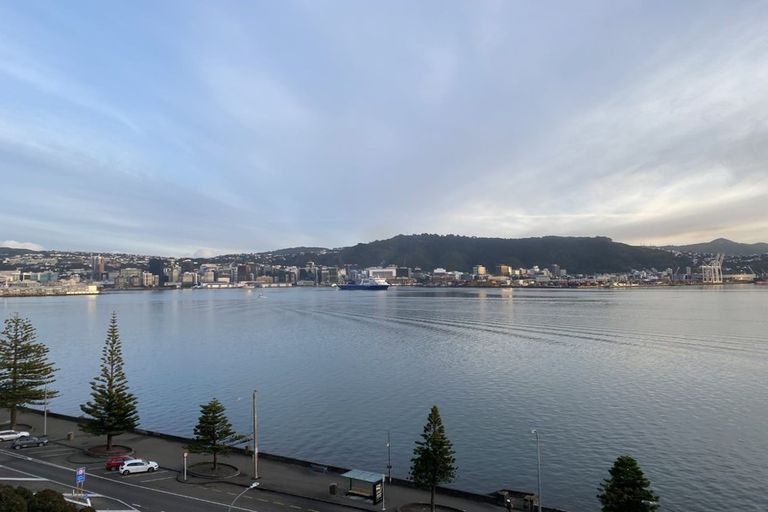 Photo of property in The Capital, 370 Oriental Parade, Oriental Bay, Wellington, 6011