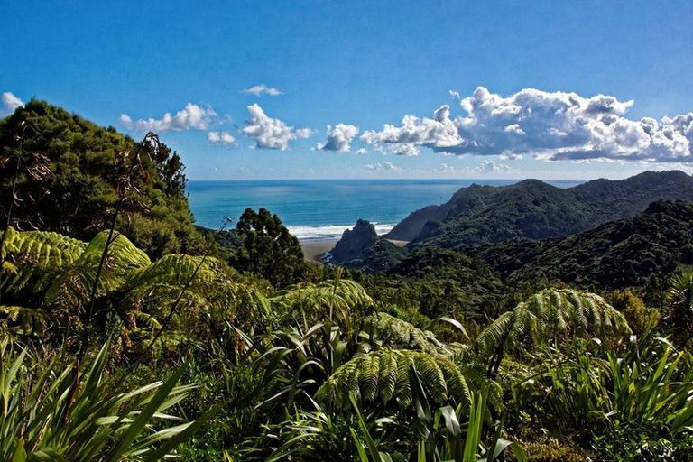 Photo of property in 126 Lone Kauri Road, Karekare, Auckland, 0772