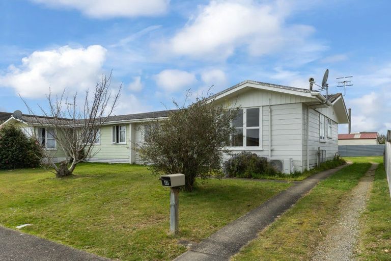 Photo of property in 47 Hinemoa Street, Levin, 5510
