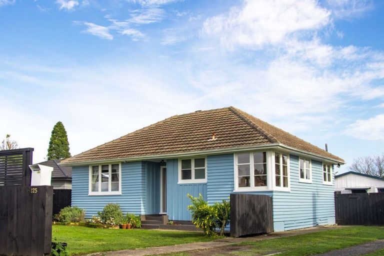 Photo of property in 125 Holland Road, Fairfield, Hamilton, 3214