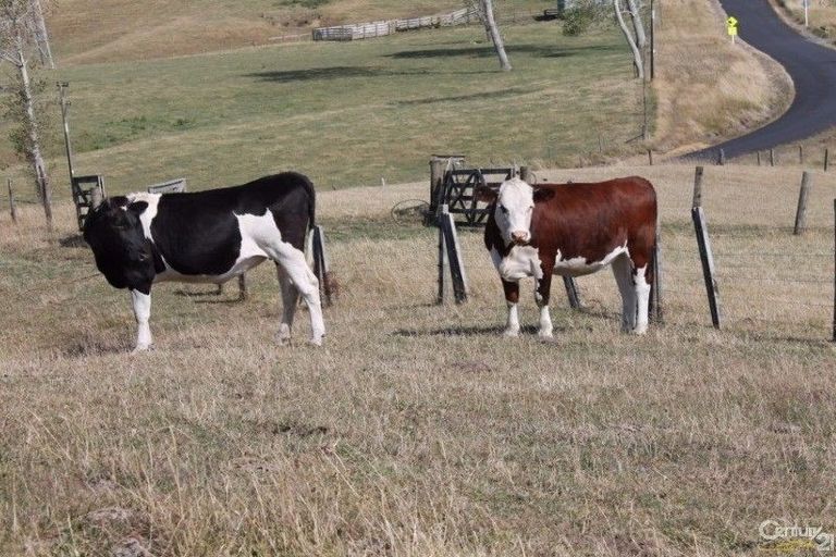 Photo of property in 509 Otuiti Road, Pukekawa, Tuakau, 2696