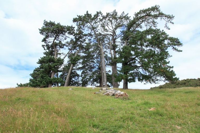 Photo of property in 25 Kauri Lane, Huntly, 3771