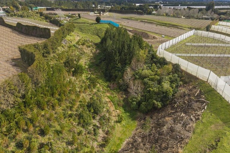 Photo of property in 589 Rangiuru Road, Rangiuru, Te Puke, 3188
