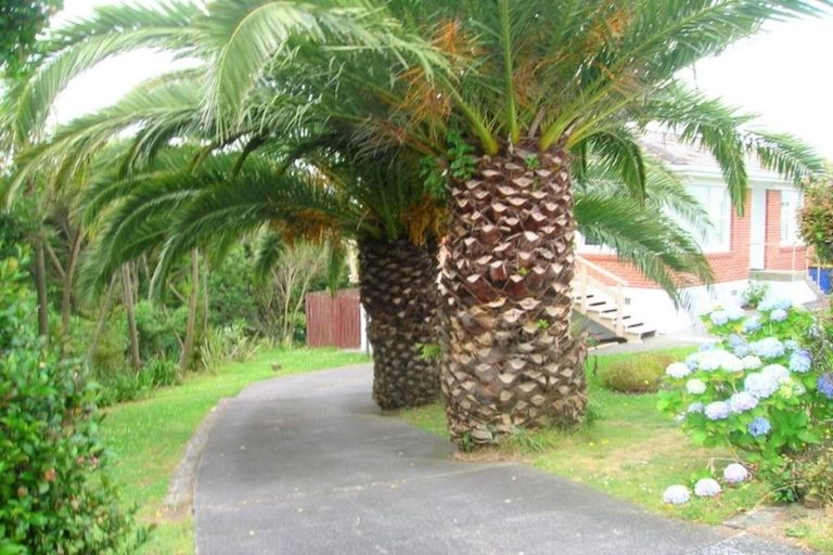 Photo of property in 1/22 Coronation Road, Hillcrest, Auckland, 0627