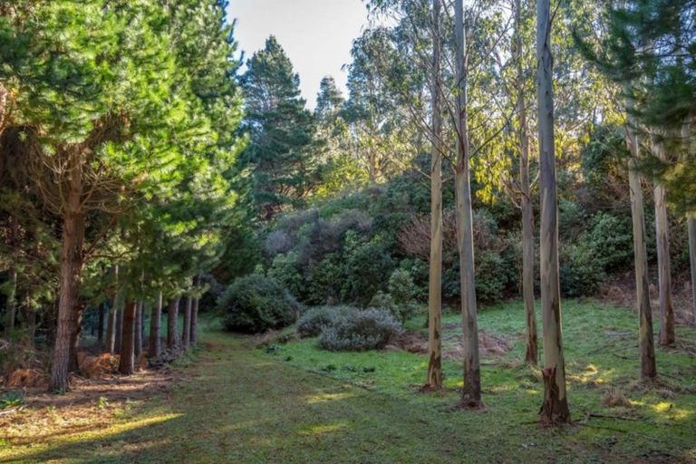 Photo of property in 351 Upper Waingawa Road, Kaituna, Masterton, 5888