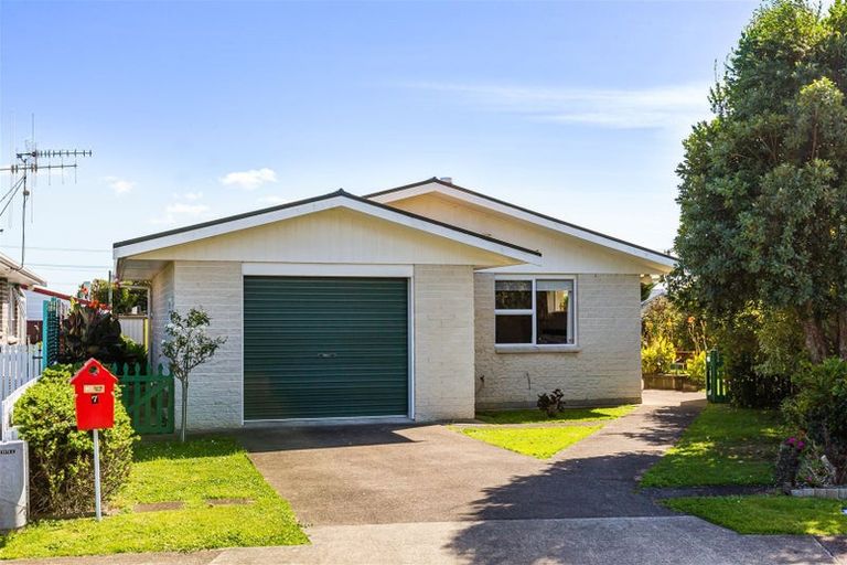 Photo of property in 7 Guildford Street, Levin, 5510