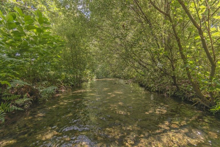 Photo of property in 399 Gressons Road, Waikuku, Rangiora, 7473