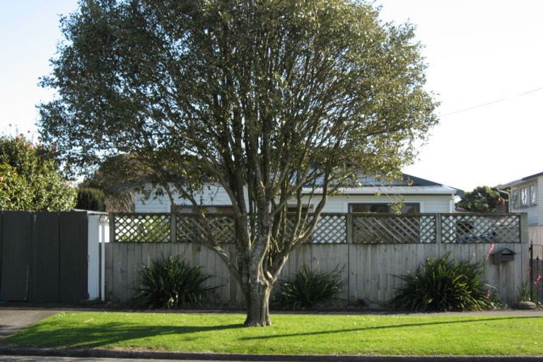 Photo of property in 38 Newton Street, Fitzroy, New Plymouth, 4312