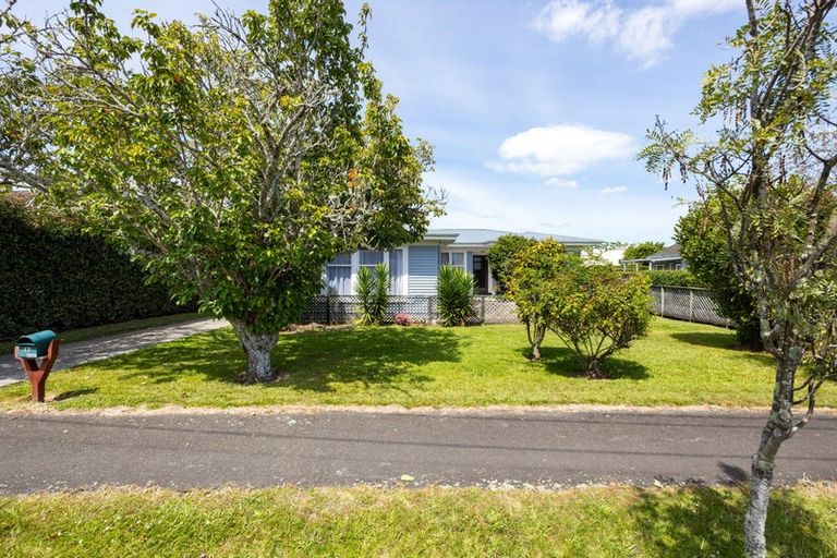 Photo of property in 17 Charles Crescent, Beerescourt, Hamilton, 3200