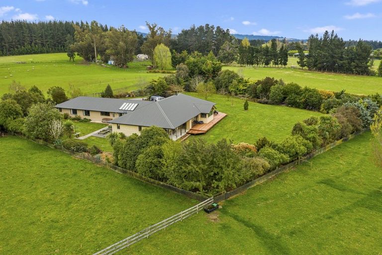 Photo of property in 167 Marshmans Road, Ashley, Rangiora, 7477