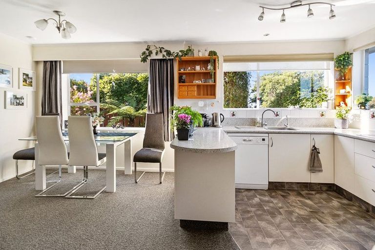 Photo of property in 17 Hinau Place, Glenwood, Timaru, 7910