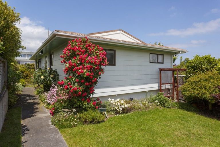 Photo of property in 56 Hyde Avenue, Richmond Heights, Taupo, 3330