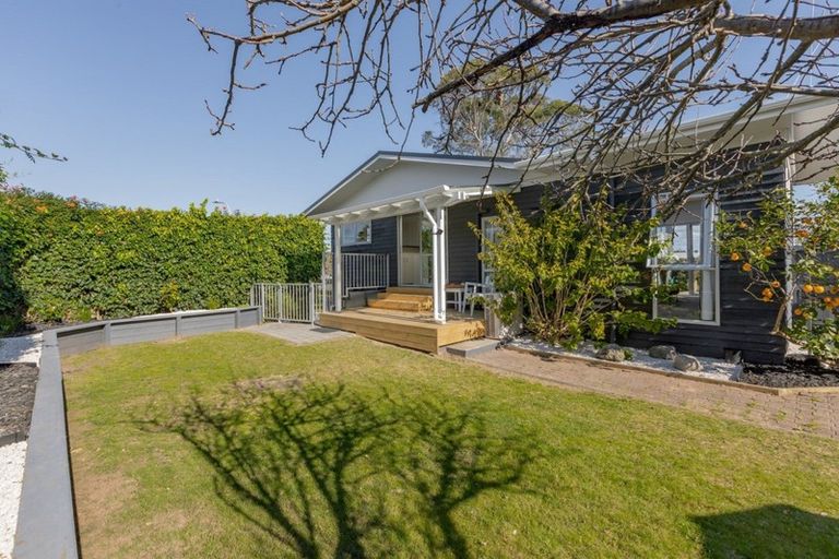 Photo of property in 91 Links Avenue, Mount Maunganui, 3116