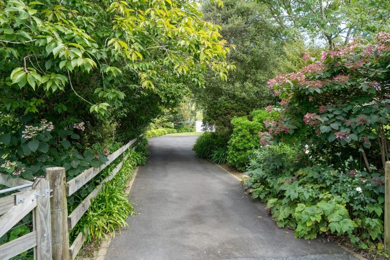 Photo of property in 443 Scotsman Valley Road, Tauwhare, Morrinsville, 3371